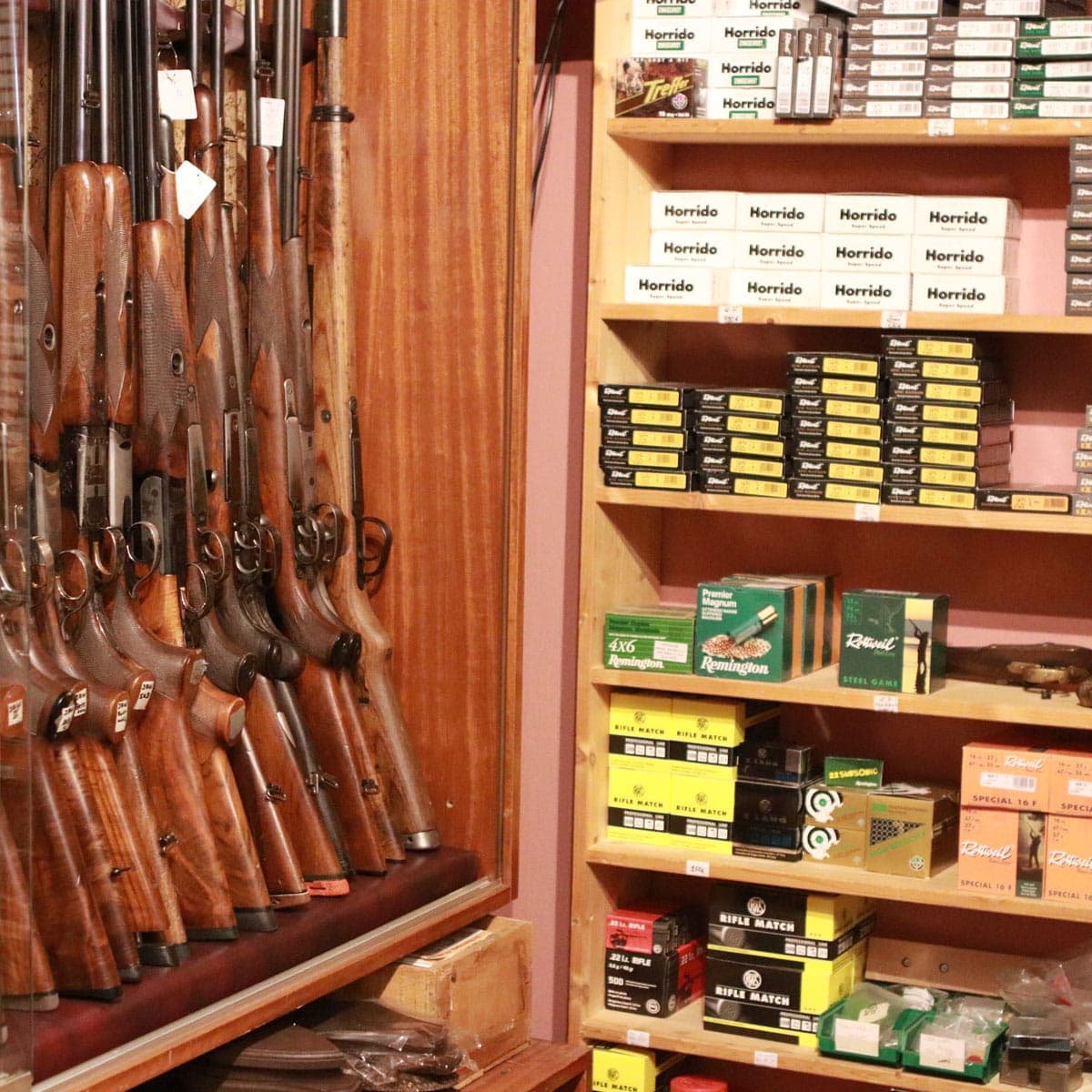 Bild 3 der Jagdschule Jagdschule am Wiehen