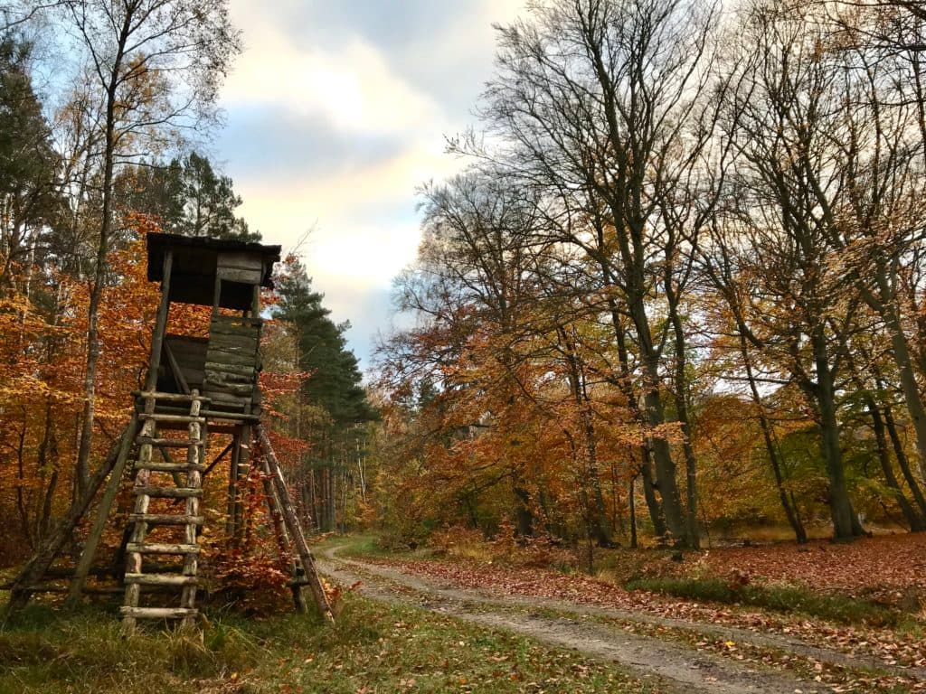 Bild 7 der Jagdschule Jagdschule des LJV in OVP