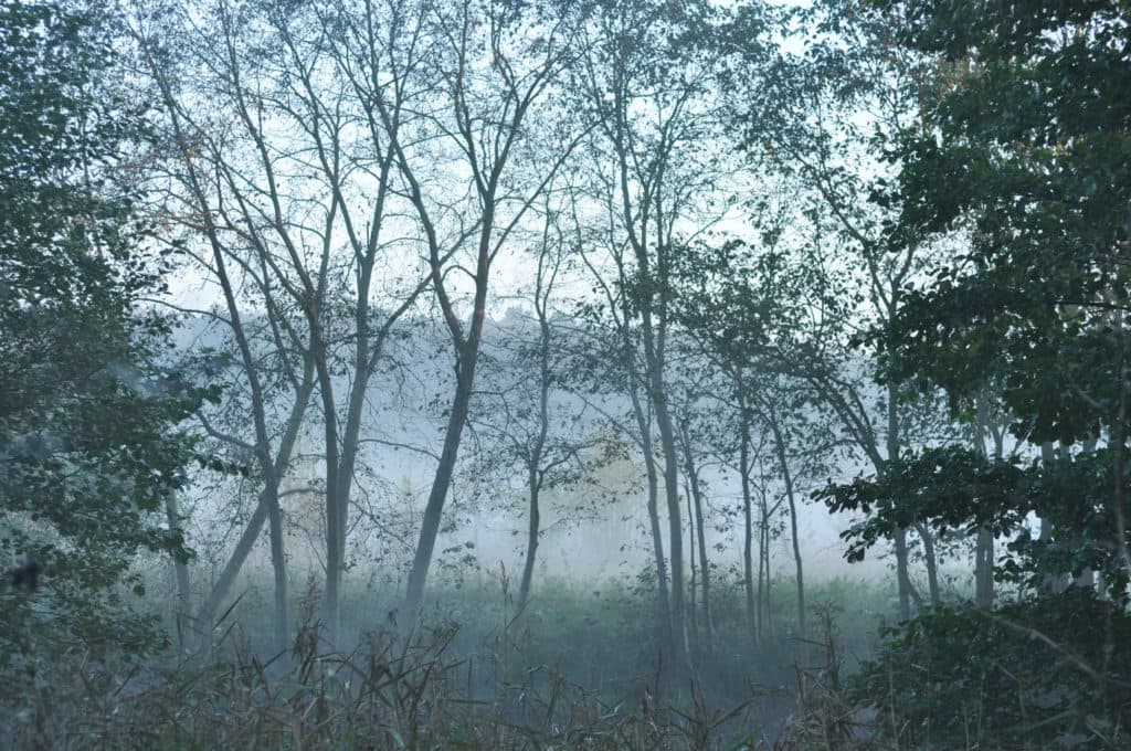 Bild 5 der Jagdschule Jagdschule des LJV in OVP