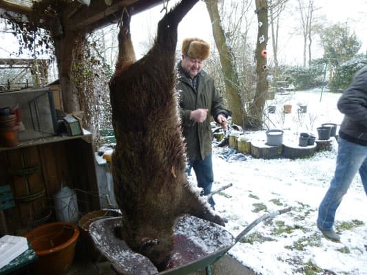 Bild 1 der Jagdschule Jagdschule Grote