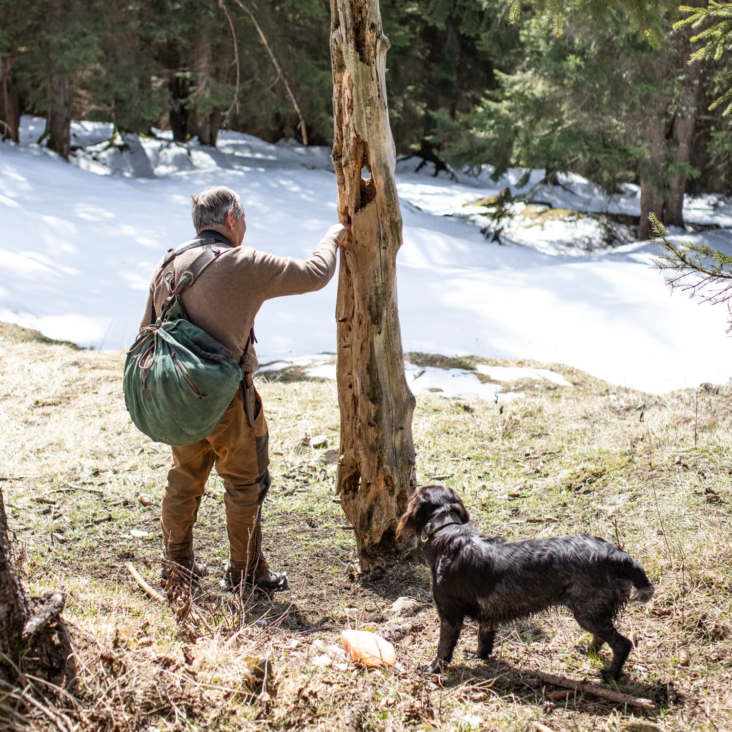 Bild 1 der Jagdschule Jagdschule Hoheneder
