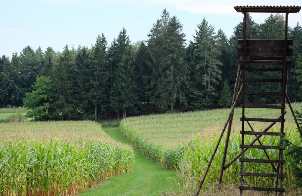 Bild 2 der Jagdschule BJV KG Amberg e.V.