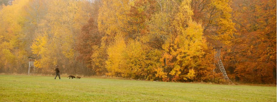 Bild 4 der Jagdschule Jägerschule Saur