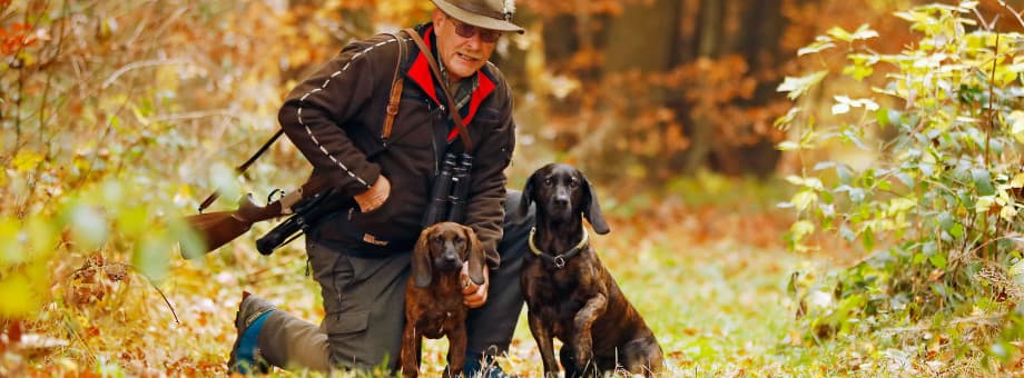 Bild 1 der Jagdschule Jägerschule Saur