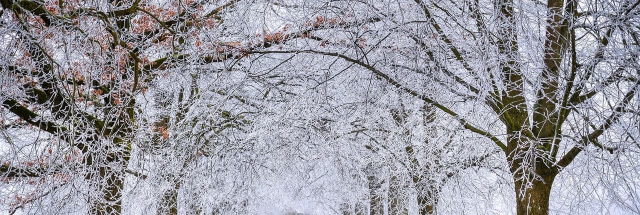 Bild 2 der Jagdschule Jagdschule Welte