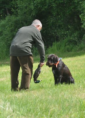 Bild 3 der Jagdschule Jagdschule im Jagdverein Witzenhausen e.V.