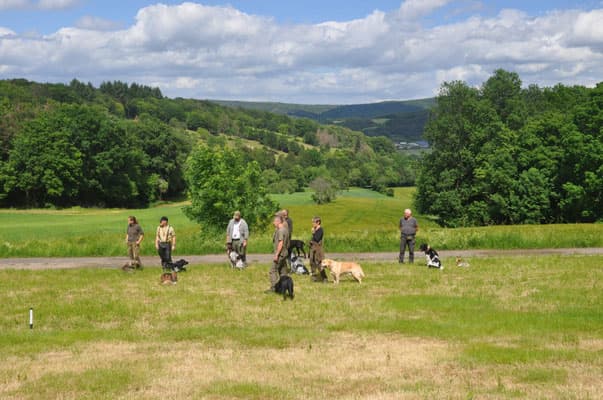 Bild 4 der Jagdschule Jagdschule im Jagdverein Witzenhausen e.V.