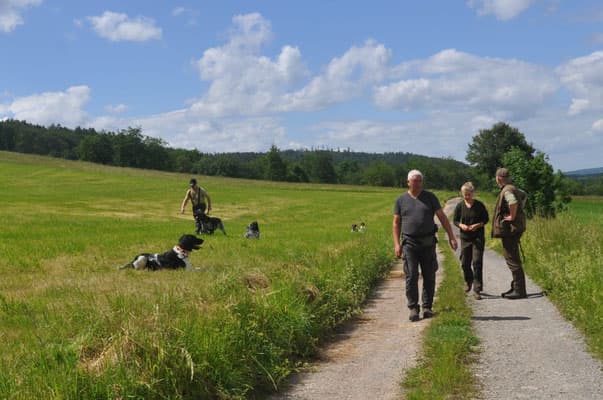 Bild 1 der Jagdschule Jagdschule im Jagdverein Witzenhausen e.V.