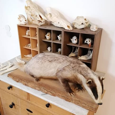 Bild 2 der Jagdschule Jagdschulzentrum Schloß Ricklingen