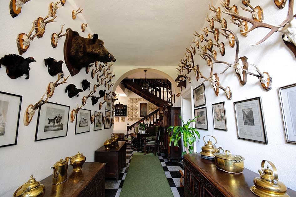 Bild 1 der Jagdschule Jagdschule Niederrhein