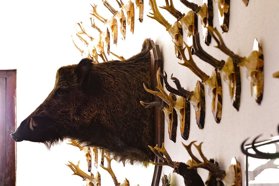 Bild 3 der Jagdschule Jagdschule Niederrhein