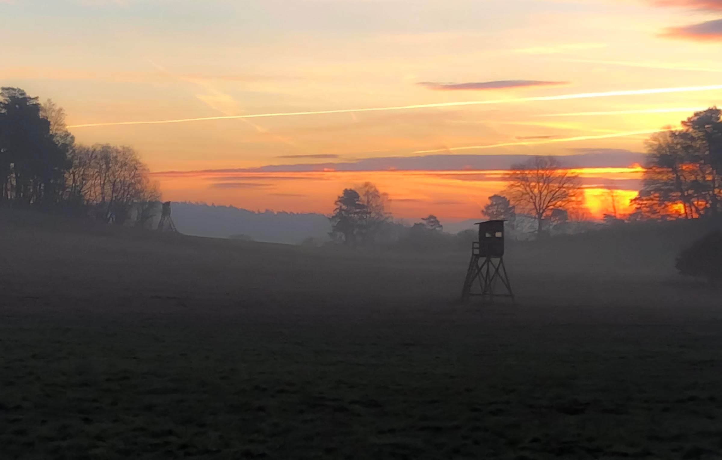 Bild 1 der Jagdschule Jagdschule Desenberg GmbH