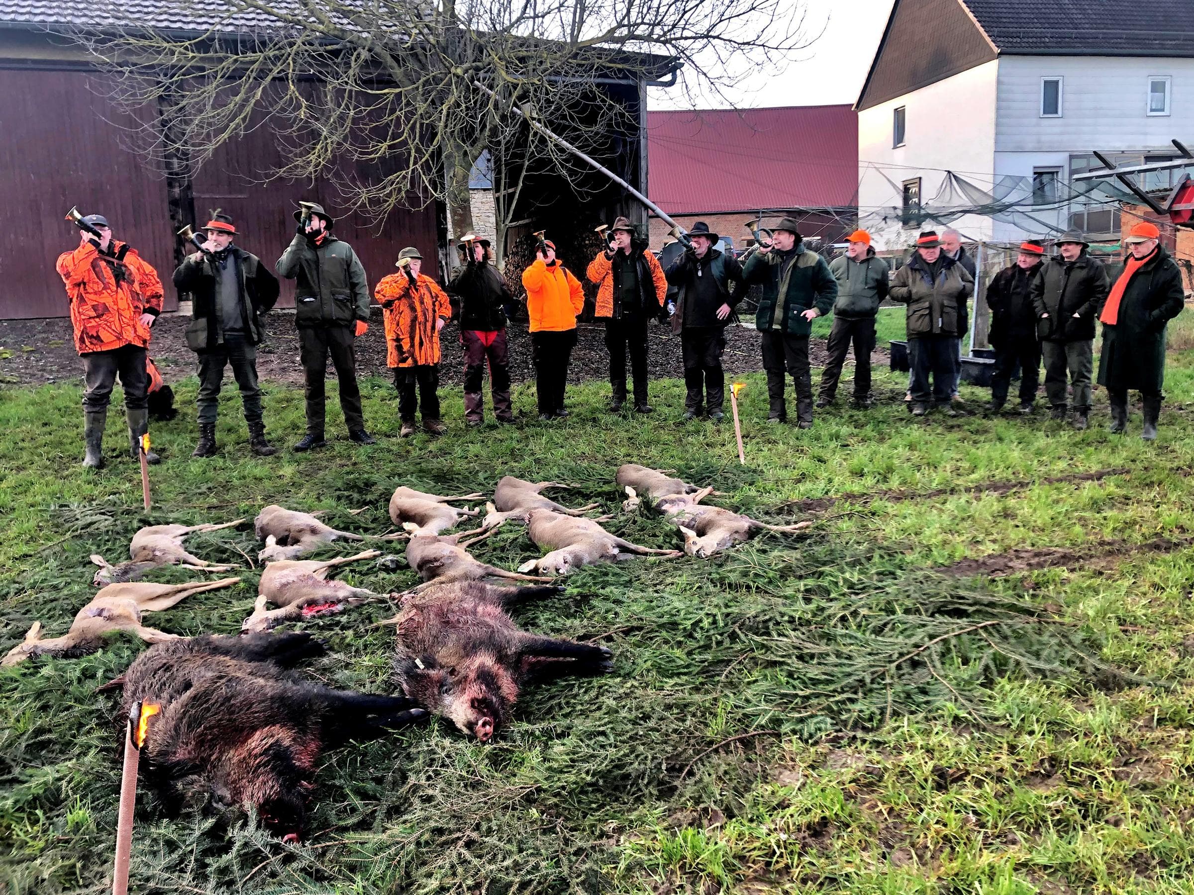 Bild 2 der Jagdschule Jagdschule Desenberg GmbH