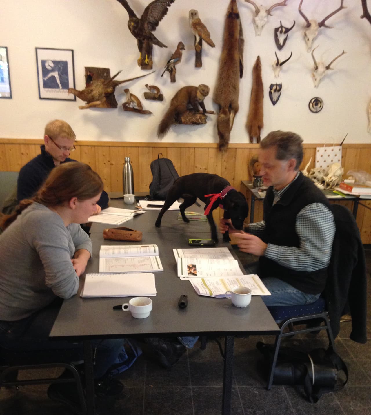 Bild 2 der Jagdschule Jagdschule Wiesental