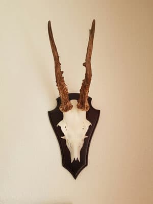 Bild 2 der Jagdschule Jägerschaft Westerzgebirge e.V.