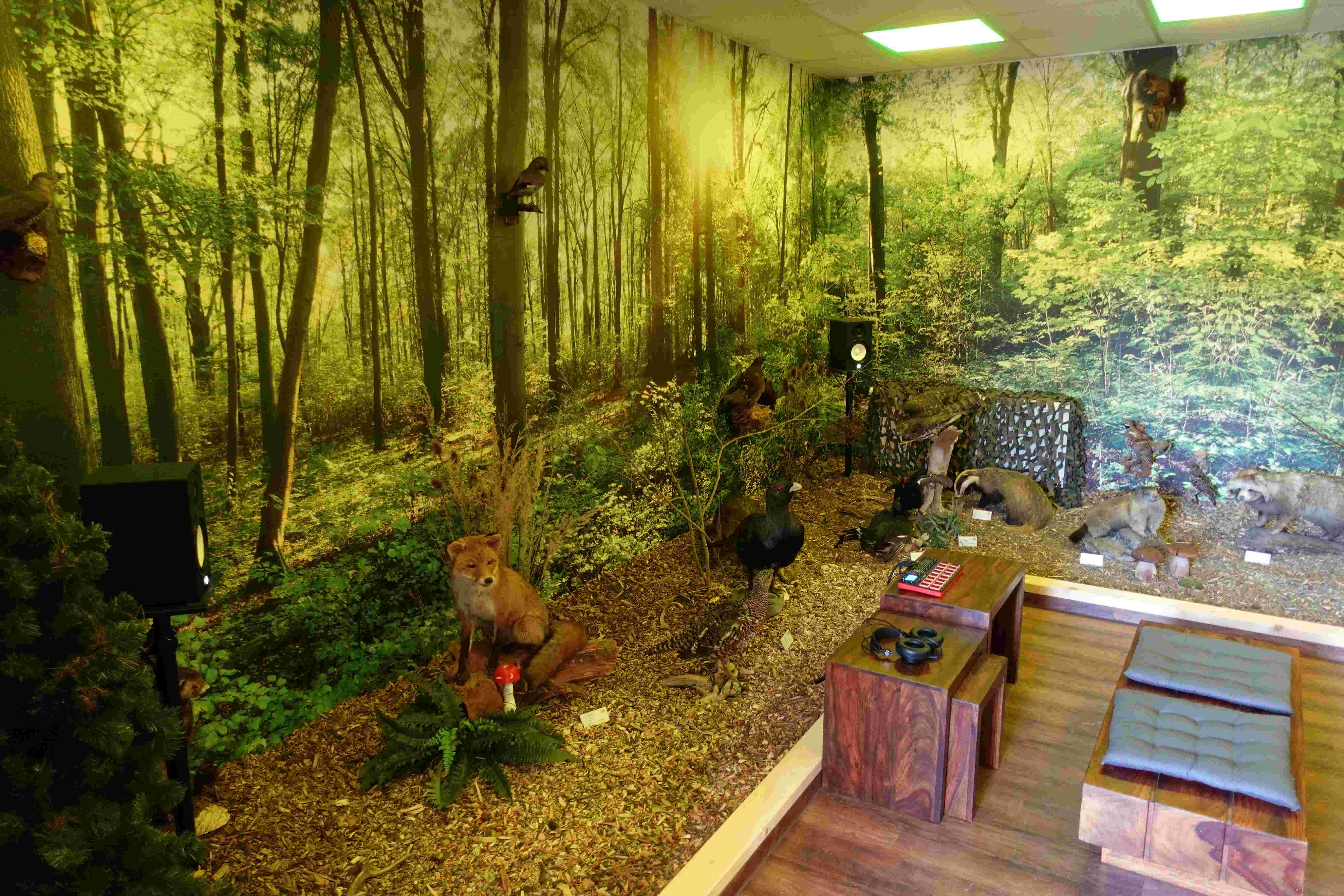 Bild 19 der Jagdschule Jagdschulzentrum Mitteldeutschland GmbH