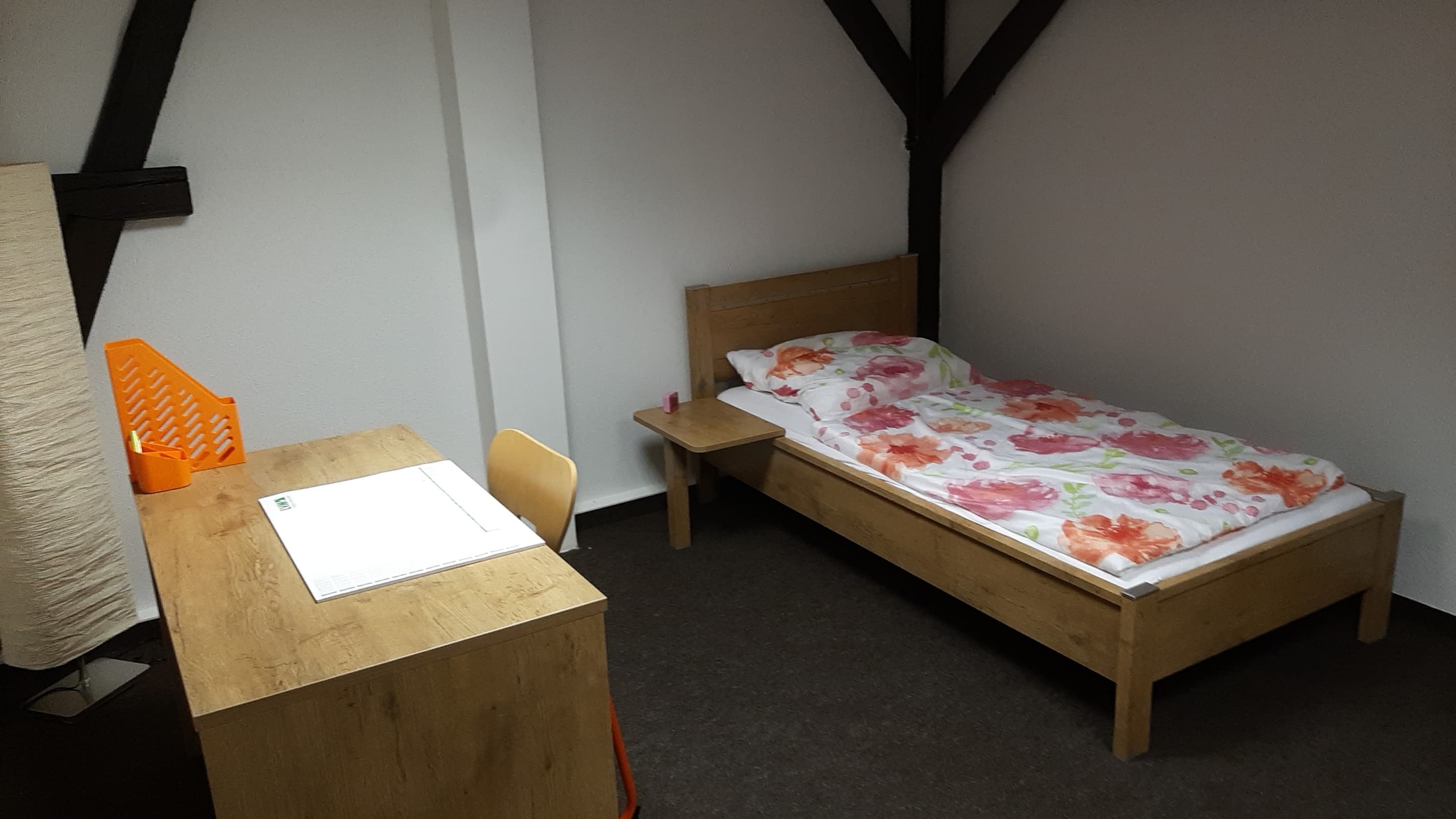 Bild 17 der Jagdschule Jagdschulzentrum Mitteldeutschland GmbH