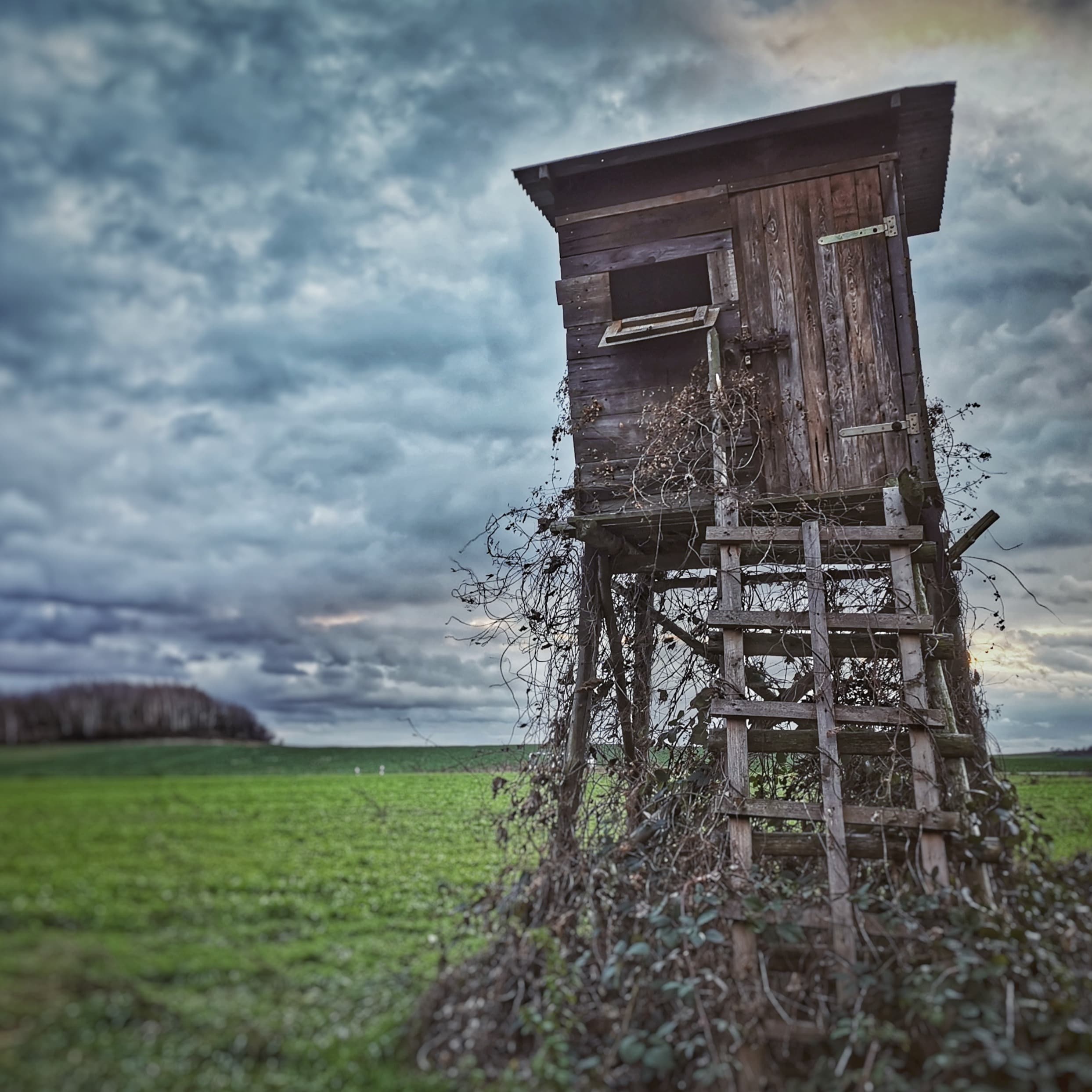 Bild 1 der Jagdschule Jagdakademie Körbis