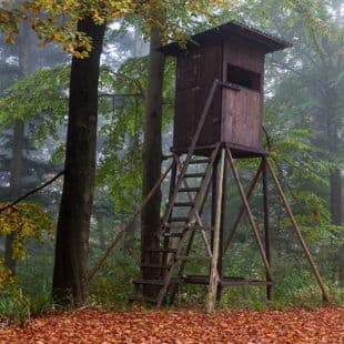 Bild 6 der Jagdschule Jagdschule Langer Berg