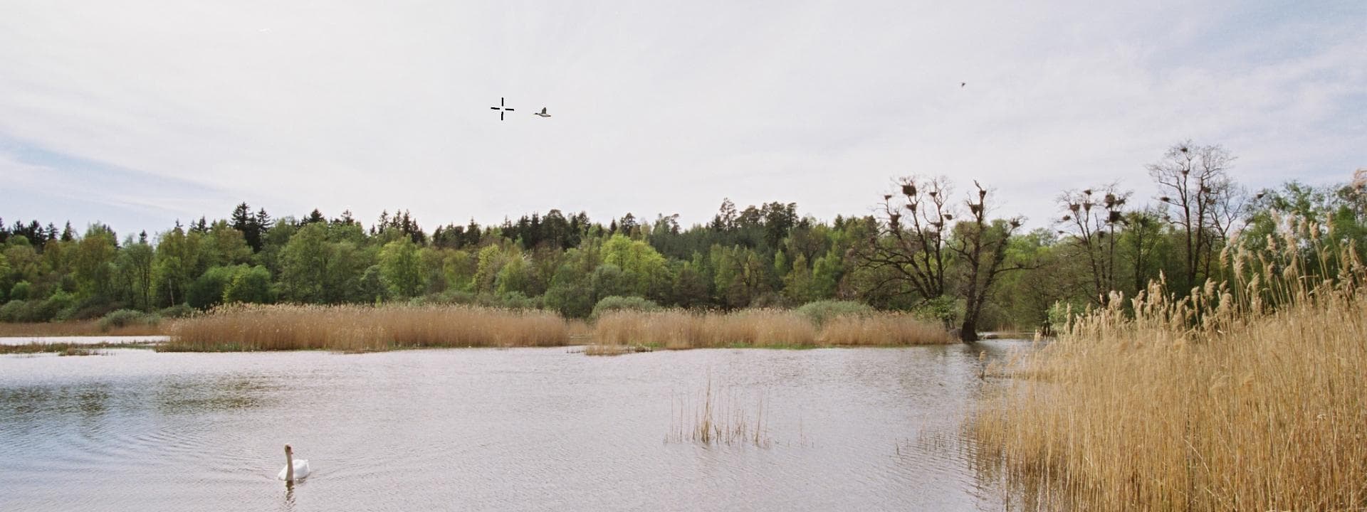 Bild 1 der Jagdschule Jagdschule Rhein-Main