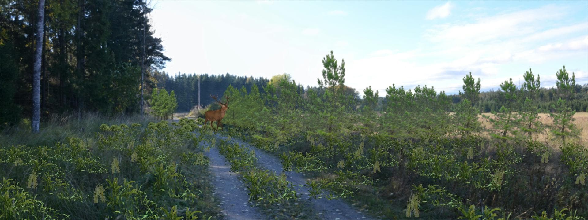 Bild 2 der Jagdschule Jagdschule Rhein-Main