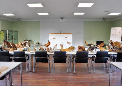 Bild 2 der Jagdschule W. & O. Dittmann