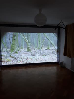 Bild 3 der Jagdschule Jagdschule Wildwechsel