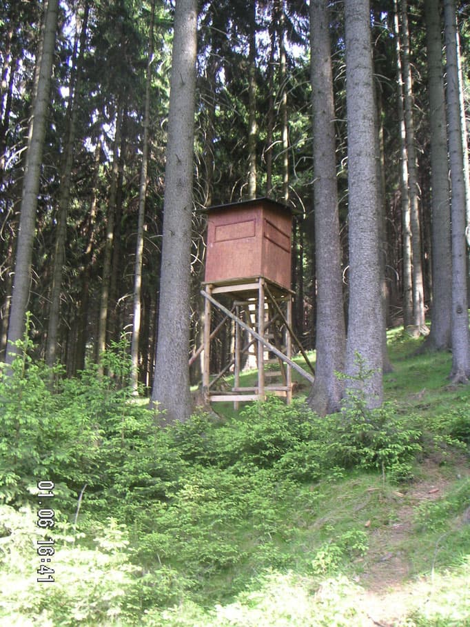 Bild 4 der Jagdschule Jagdschule Wildwechsel