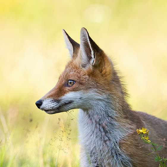Bild 5 der Jagdschule Jagdschule Oberberg