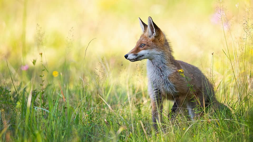 Bild 2 der Jagdschule Jagdschule Oberberg