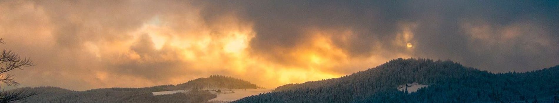 Bild 2 der Jagdschule Jagdschule der KJV Rottweil