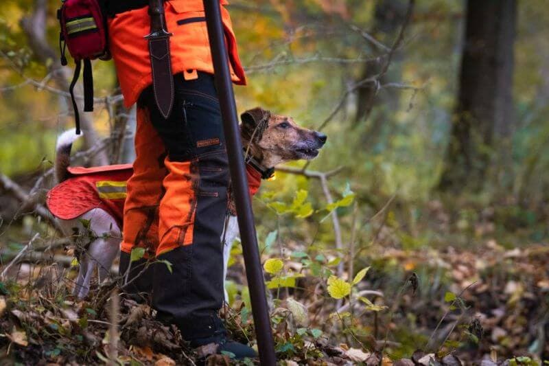 Bild 2 der Jagdschule Jagdschule Hochtaunus