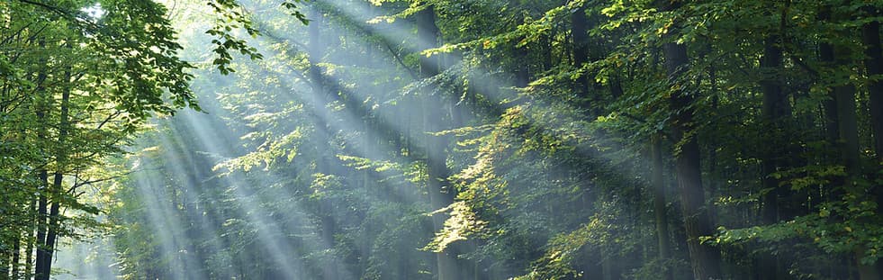 Bild 1 der Jagdschule Jagdausbildung Flensburg