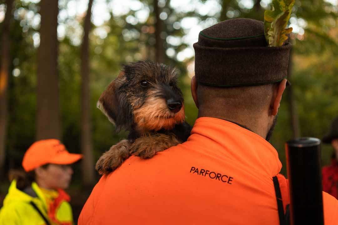 Bild 5 der Jagdschule Jagdschule v. Fürstenberg