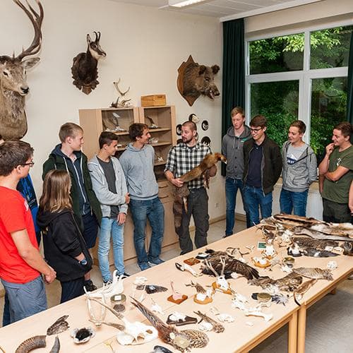 Bild 2 der Jagdschule Jagdschule Emsland