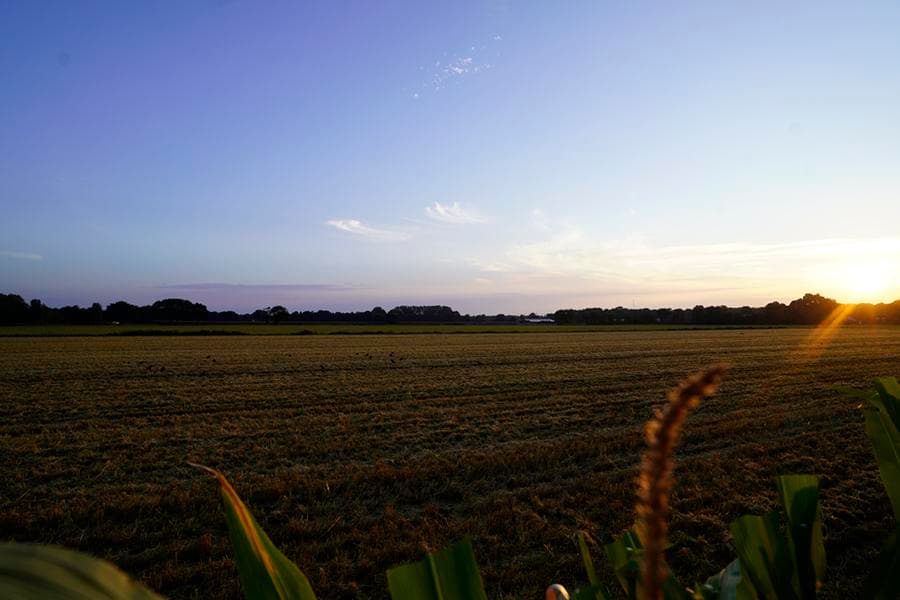 Bild 5 der Jagdschule Jagdschule Emsland