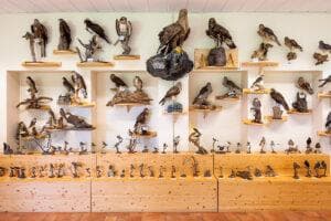 Bild 6 der Jagdschule Jagdschule Emsland