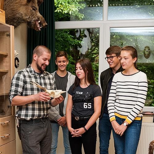 Bild