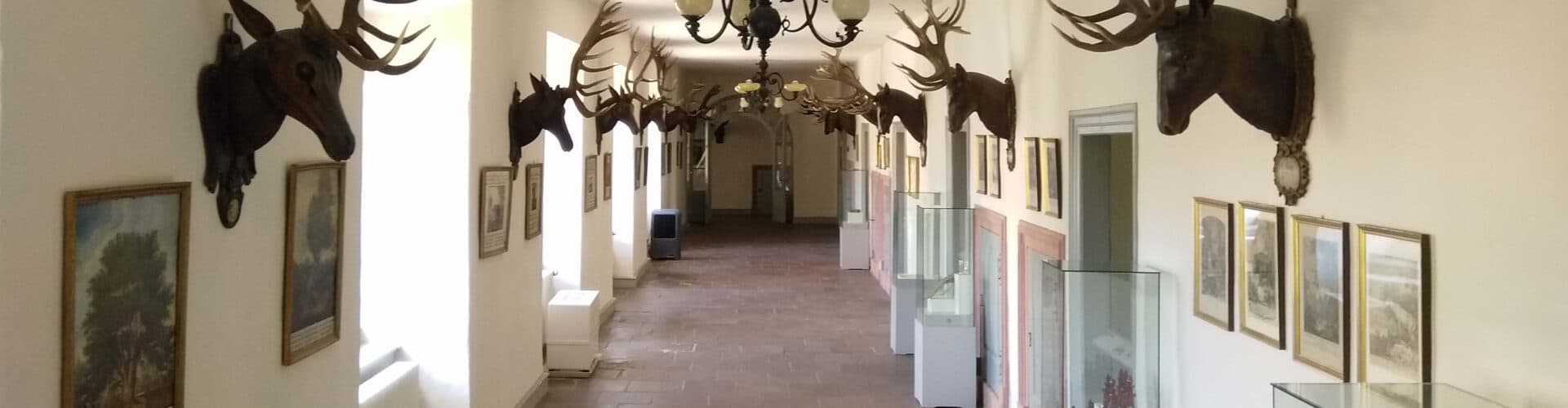 Bild 4 der Jagdschule Jagdschloss Kranichstein