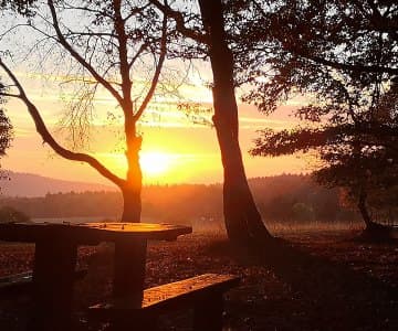 Bild 2 der Jagdschule Jagdschule Rheinhessen