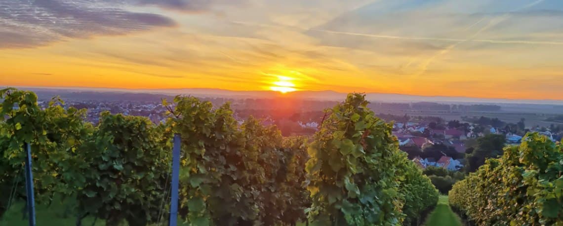 Bild 1 der Jagdschule Jagdschule Rheinhessen