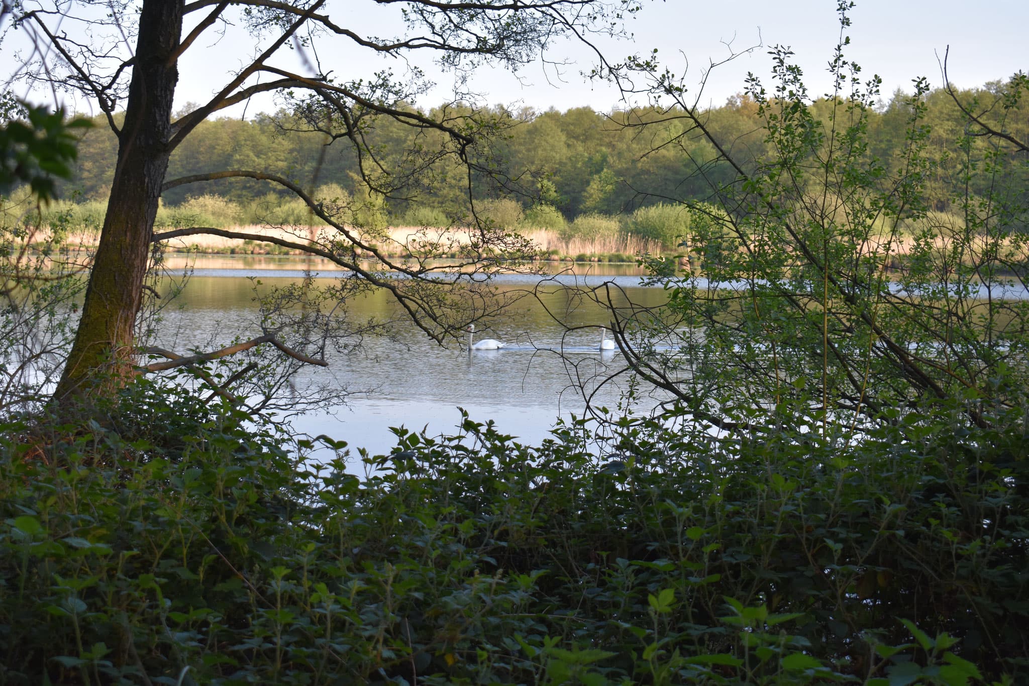 Bild 3 der Jagdschule Jagdschule Vulkaneifel