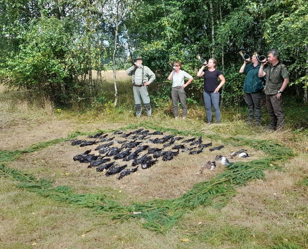 Bild 1 der Jagdschule Jagdschule Waldhaus Herzogtum Lauenburg