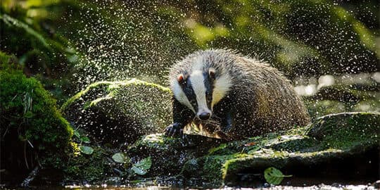 Bild 2 der Jagdschule Jägerlehrhof Wendland