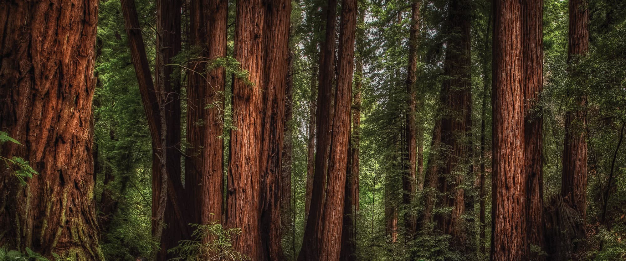 Bild 1 der Jagdschule Thüringer Jagdschule der Jägerschaft Meiningen e.V.