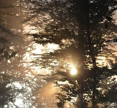 Bild 1 der Jagdschule Jagdschule Tack