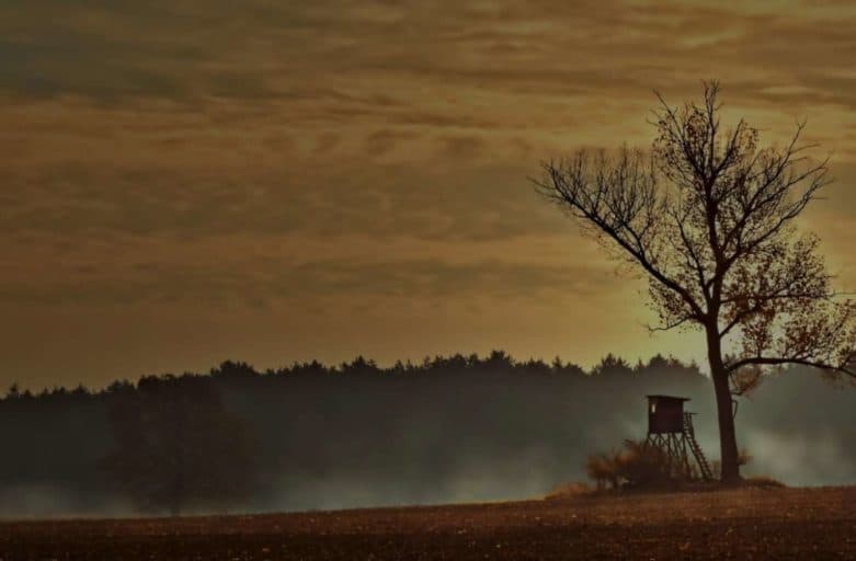 Bild 1 der Jagdschule Jagdverband Freiberg e.V.