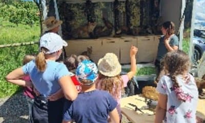 Bild 6 der Jagdschule Jägervereinigung Tettnang