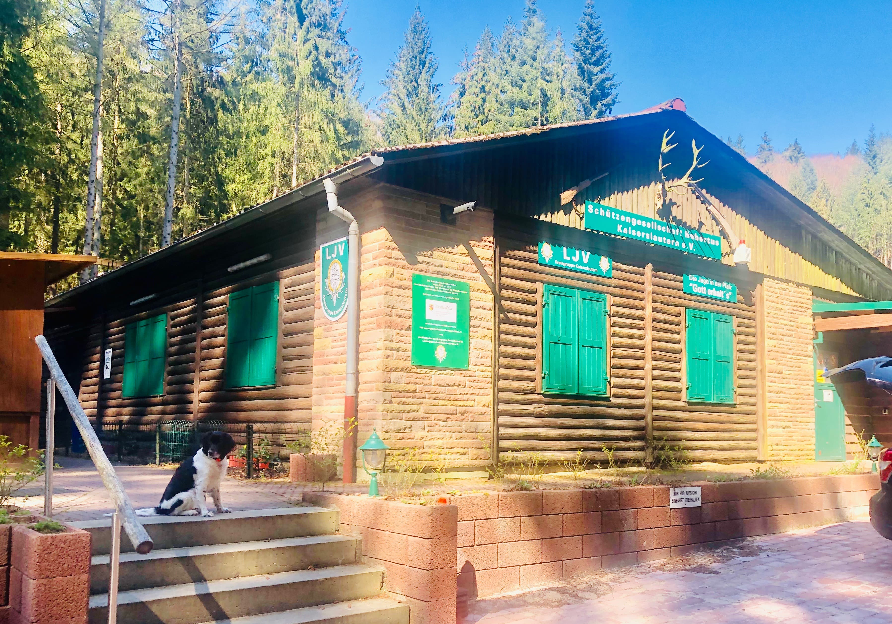 Bild 3 der Jagdschule Kreisgruppe Kaiserslautern e.V.