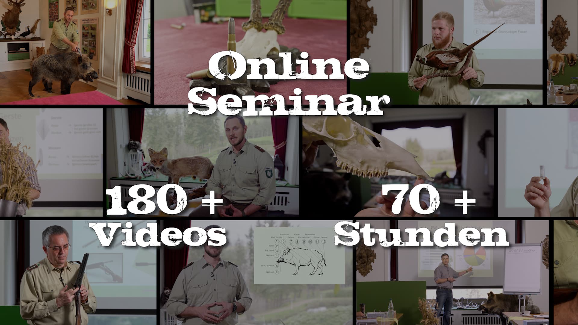 Bild 4 der Jagdschule Jagdschule Sauerland